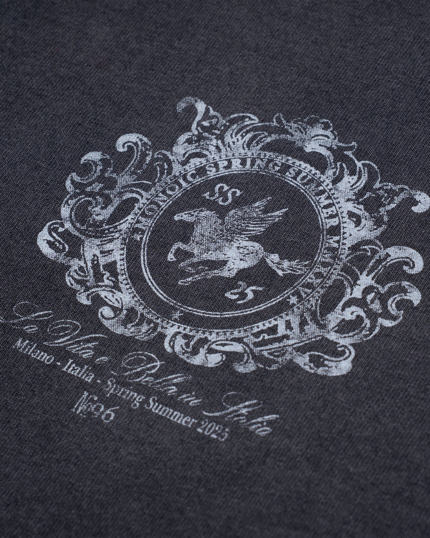 Camiseta Oversized Cavallo Negro Desgastado MONOIC
