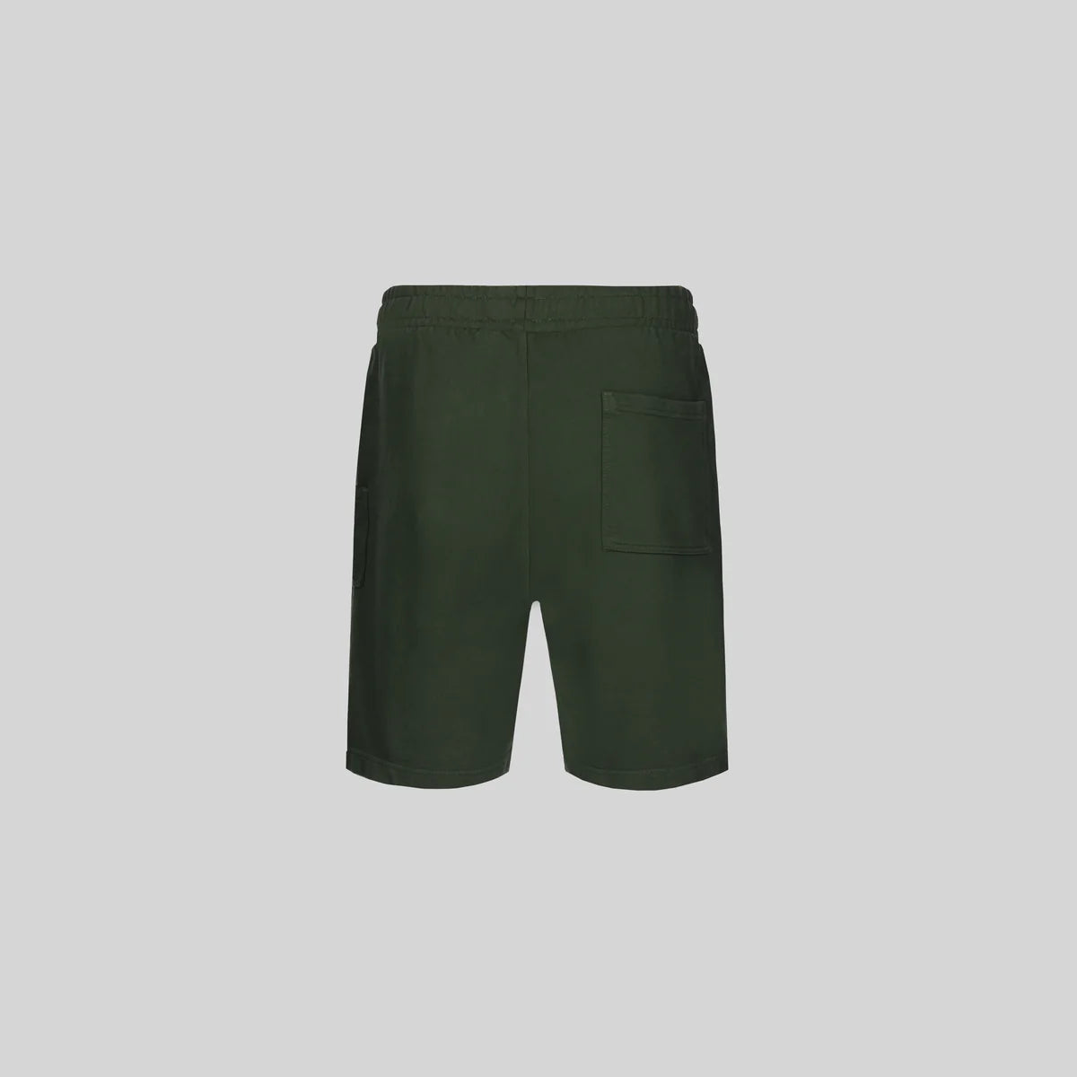 BERMUDA VERTICE GREEN CLEMONT
