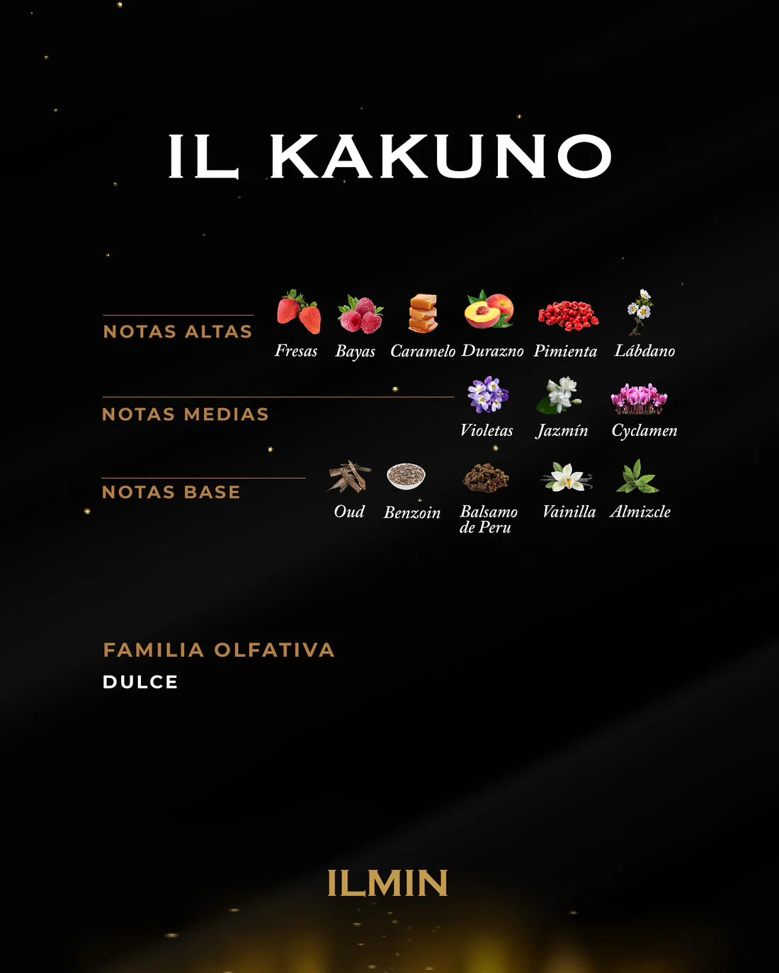 IL KAKUNO ILMIN