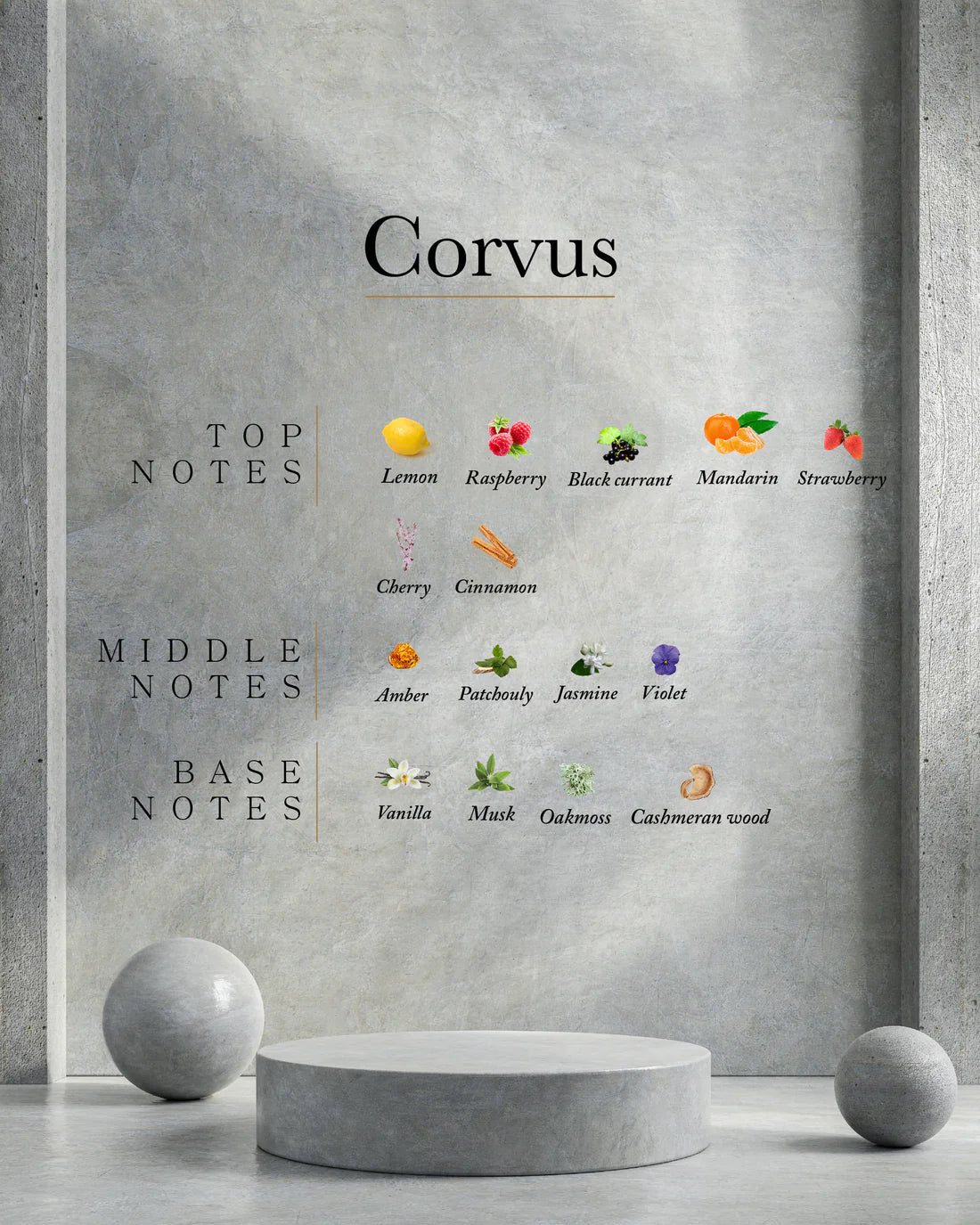 CORVUS AHLI