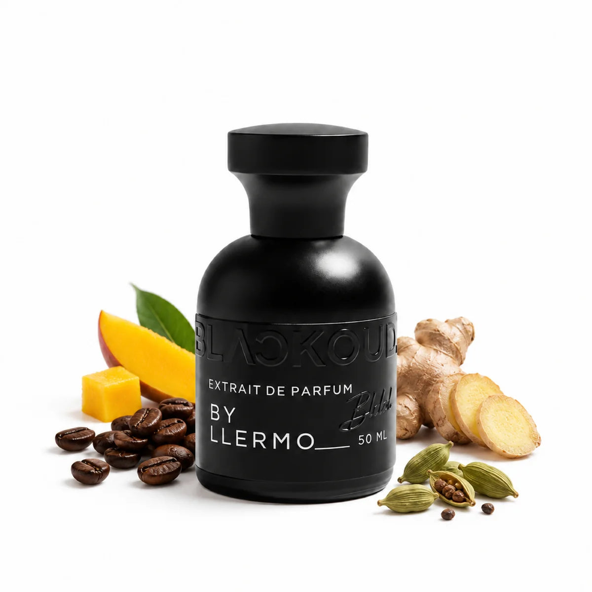 BY LLERMO BLACKOUD