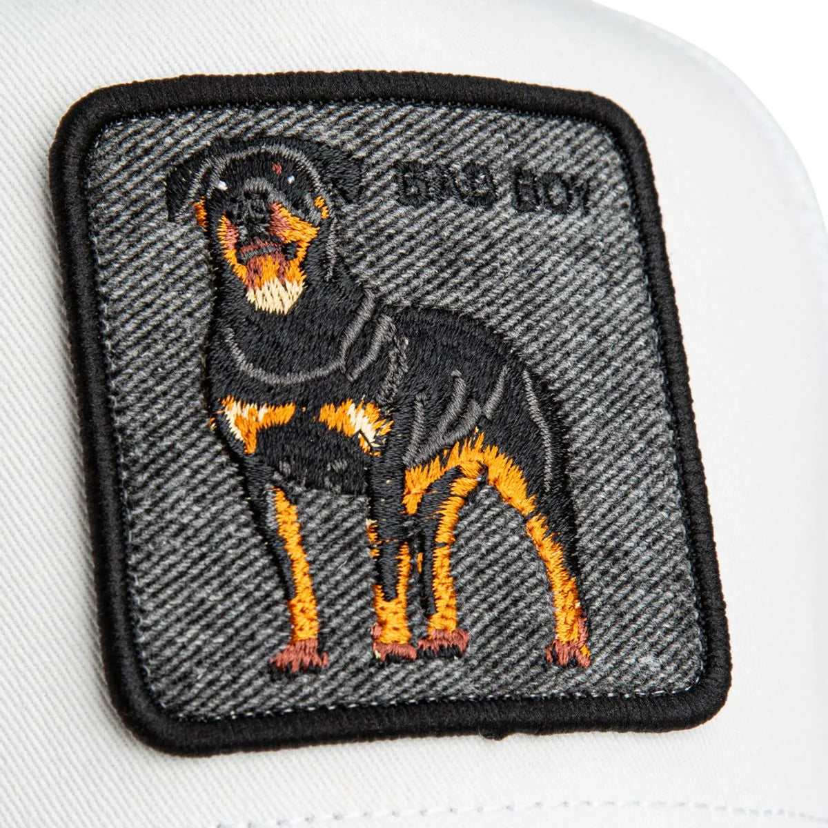 Denim Bad Boy Gray Goorin Bros