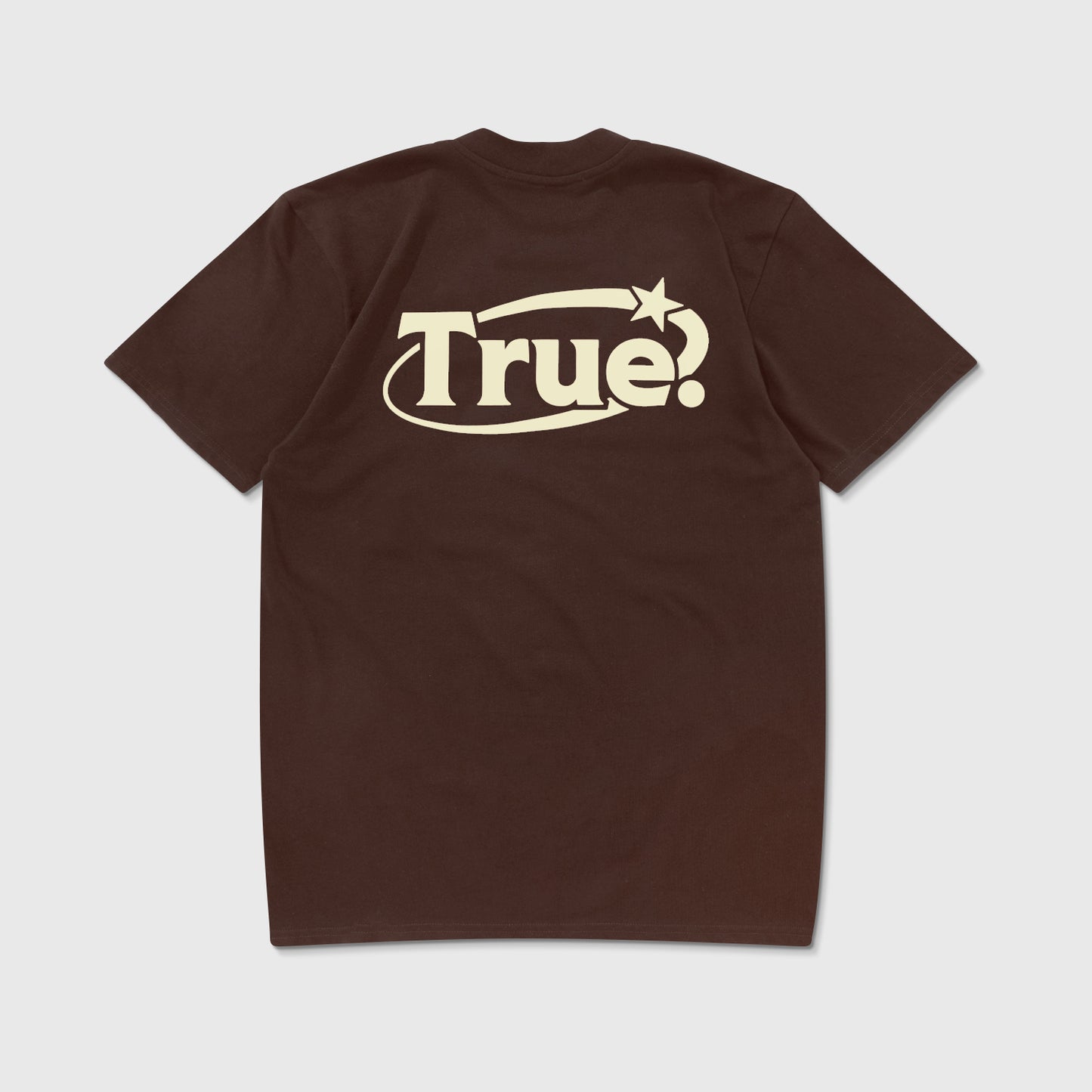 Everyday Logo T-Shirt Brown True