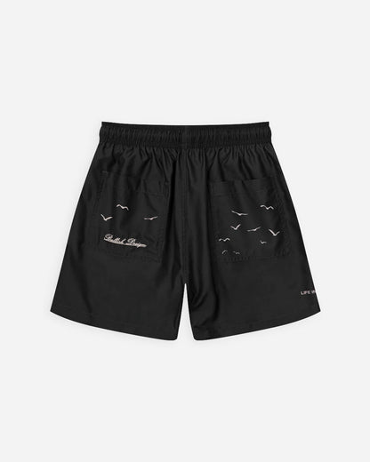 HARDBOR BLACK SW BULLISH