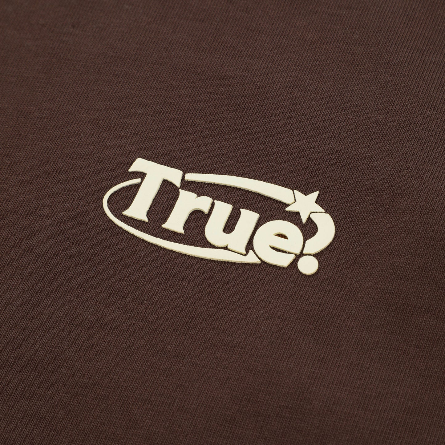 Everyday Logo T-Shirt Brown True