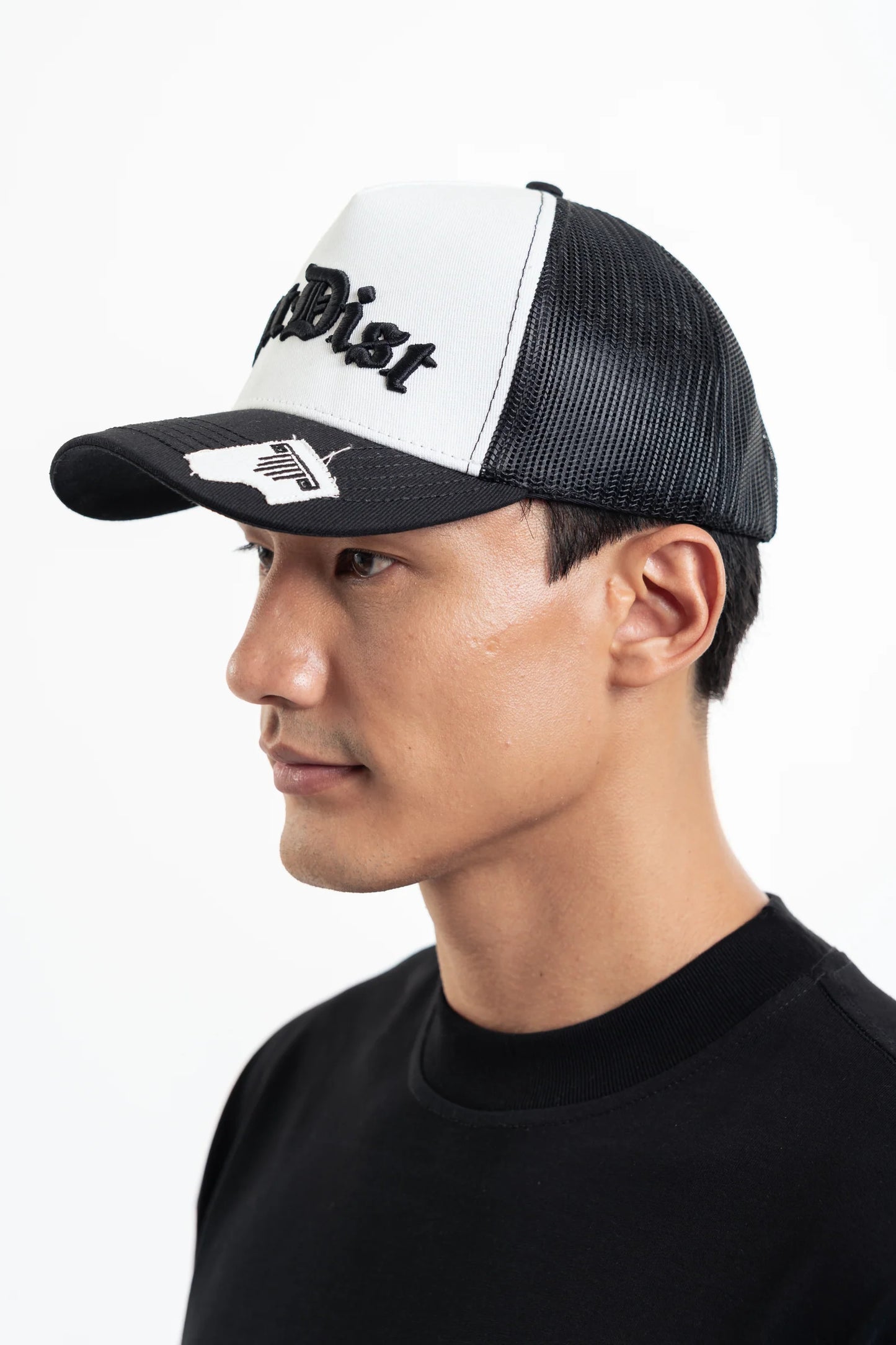 PATCH CAP ARTDIST