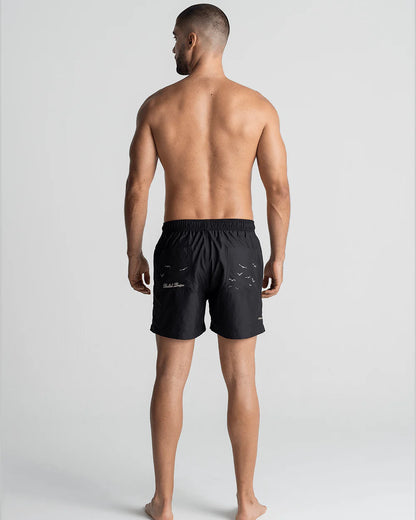 HARDBOR BLACK SW BULLISH