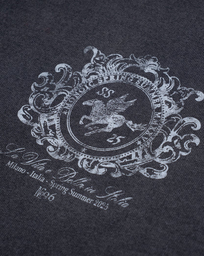 Camiseta Oversized Cavallo Negro Desgastado MONOIC