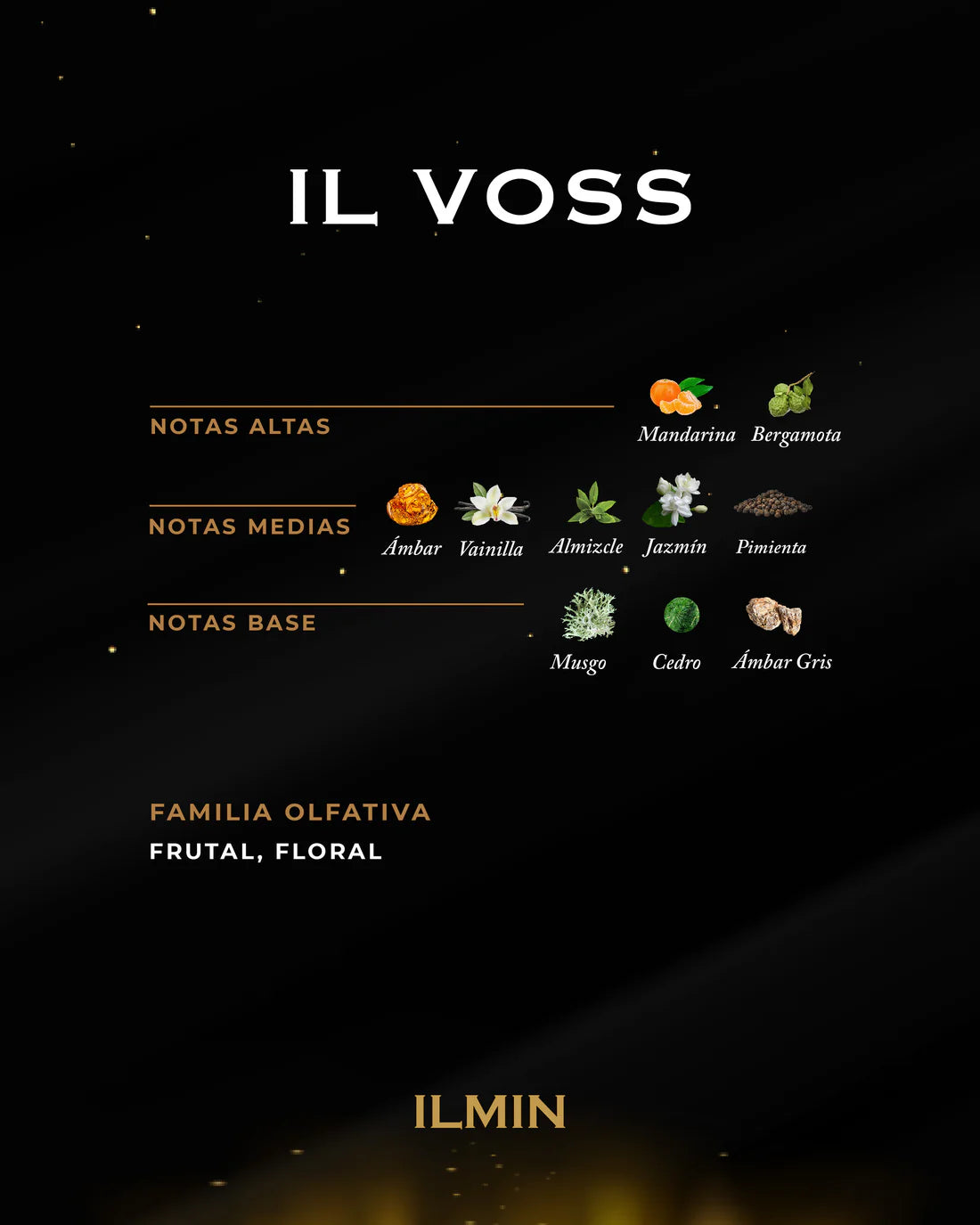 IL VOSS ILMIN