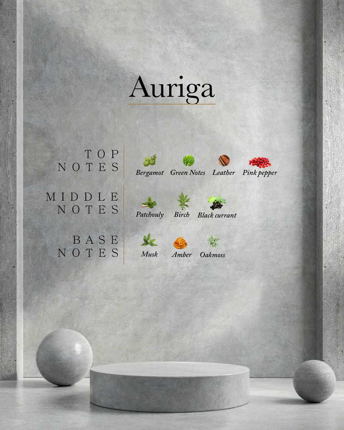 AURIGA AHLI