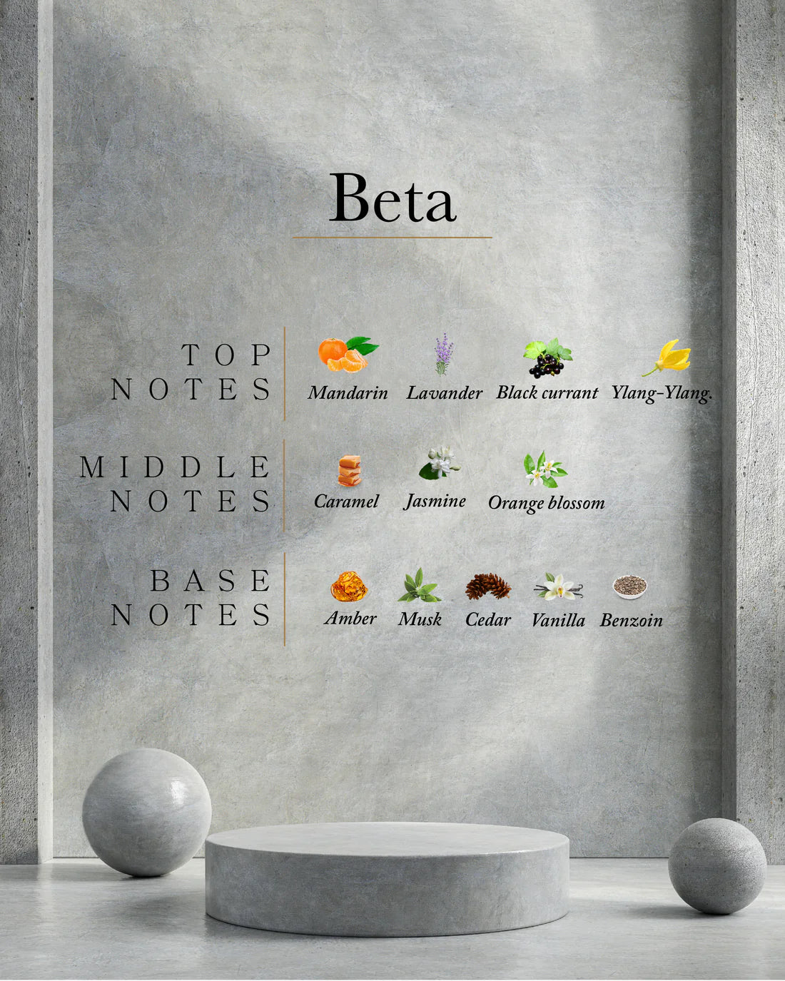 BETA AHLI